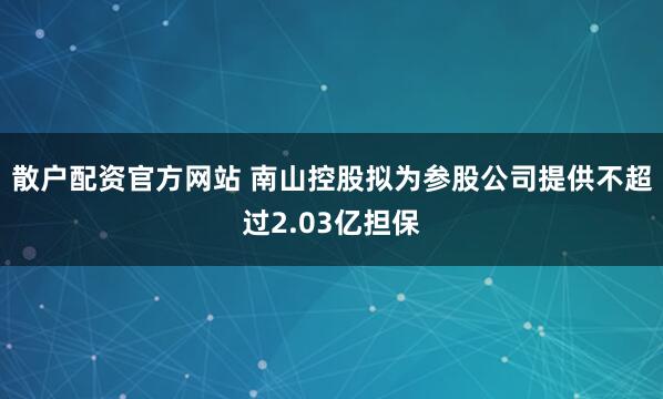 散户配资官方网站 南山控股拟为参股公司提供不超过2.03亿担保